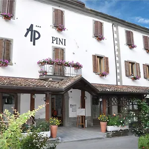https://hotel-pini.emilia-romagnahotels.net