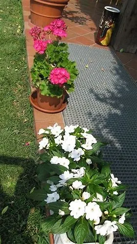 B&B Villa Patrizia Casnate Con Bernate